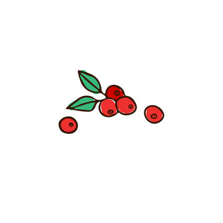 A cluster of red berries with green leaves. Illustration, sketchのイラスト素材