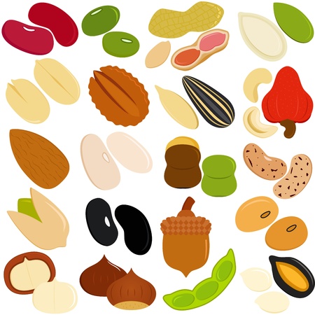 Vector Icons of Beans, Nuts, Seedsのイラスト素材
