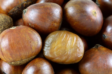 Closeup photo of Roasted Sweet Chestnuts の写真素材