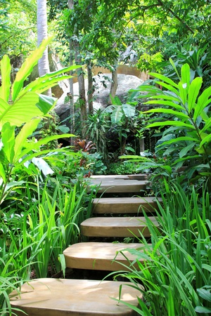 Tropical plants along polished concrete steps in the gardenの写真素材