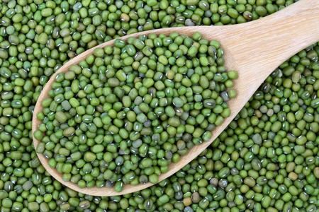 Closeup of a spoon filled with dry Mung Beansの写真素材