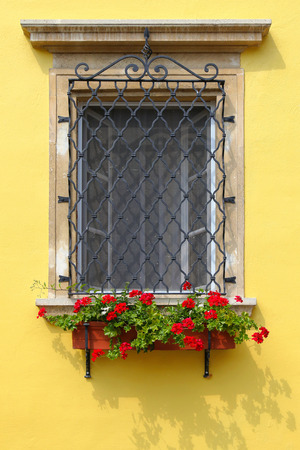 Window decorated with colorful red Geranium flowers against yellow wall in Austriaの写真素材