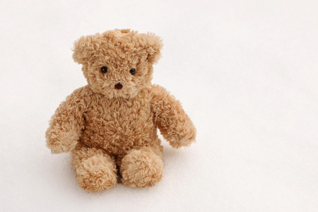 A cute brown bear sitting alone on the snow during winter timeの写真素材