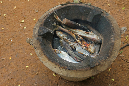 Charcoal grilled fish caught from Mekong River in Laos, simple meal for local peopleの写真素材