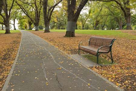 A wooden bench along the path with fallen leaves at Flagstaff Gardens, the oldest park in Melbourne,...
