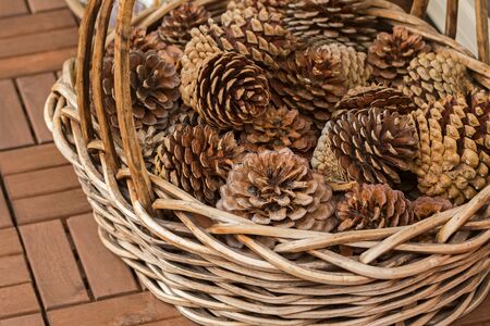 A basket full of dried pine cones to decorate homeの写真素材
