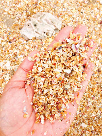Hand holding sand and small sea shells with blurred background