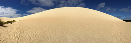 Panoramic view of high sand hill ridge. Panorama of Little Sahara white sand dune system on Kangaroo Island, South Australiaの写真素材