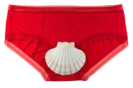Big white sea scallop shell on top of red underwear panties underpants isolated on white backgroundの写真素材