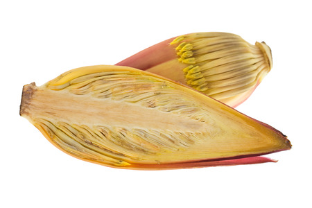 Closeup cross section of fresh raw banana blossom with maroon purplish flowers cut in half isolated on white backgroundの写真素材