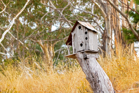 Simple wooden bird house on top of tree stump surrounded with yellow grass meadow field, Autumn in...