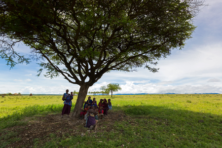 TANZANIA, EAST AFRICA - APRIL 2018 : Maasai woman, female teacher teaching young African kids sitting in shade of under Acacia tree as outdoor school on April 13, 2018 in Tanzania, East Africa.のeditorial素材