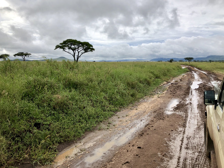 Four-wheel drive safari vehicle driving on wet pothole road with dark cloud at Serengeti National Park in Tanzania, East Africaの写真素材