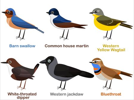 Vector illustration set of cute European bird cartoons - Barn swallow, House martin, Yellow Wagtail, White throated dipper, Western Jackdaw, Bluethroatのイラスト素材