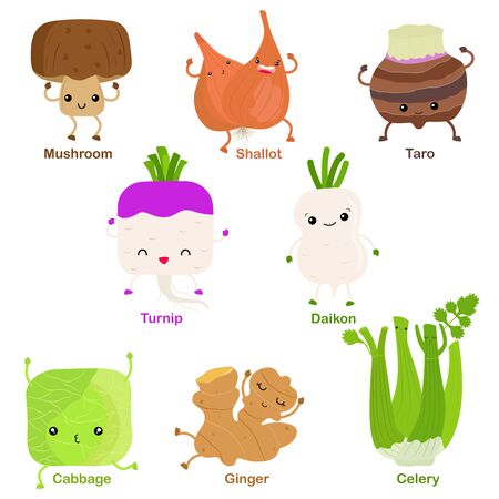 Cute vector of square shaped smiling fruit, vegetable with happy face - Turnip Shallot Daikon Taro Mushroom Cabbage Celery Ginger. Colorful set of food illustration isolated on white background のイラスト素材