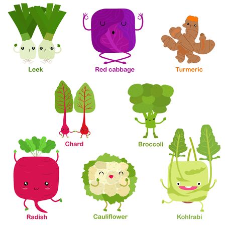 Cute vector of square shaped smiling fruit, vegetable with happy face - Leek Red cabbage Turmeric Broccoli Cauliflower Chard Kohlrabi Radish. Colorful set of food illustration isolated on white background のイラスト素材
