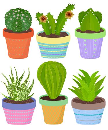 Vector set of cactus cacti aloe succulent plants in pot. Collection of flat styled hand drawn exotic houseplant. Cute illustration isolated on white. Beautiful design elements. のイラスト素材
