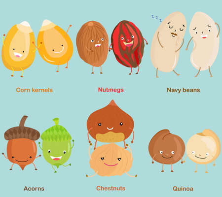 Vector of Bean, Nut, Seed - Corn kernel, Nutmeg, Navy bean, Acorn, Chestnut, Quinoa. A set of cute colorful legume icon collection isolated on white backgroundのイラスト素材