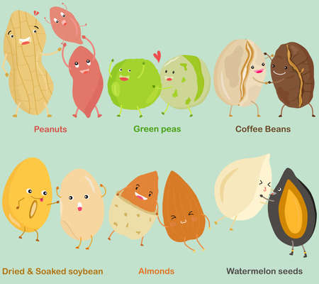 Vector of Bean, Nut, Seed - Peanut, Green pea, Coffee Bean, Soybean, Almond, Watermelon seed. A set of cute colorful legume icon collection isolated on white background.のイラスト素材