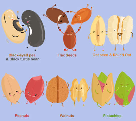 Vector of Bean, Nut, Seed - Black-eyed pea, Black turtle bean, Flax Seed, Oat seed,  Rolled Oat, Peanut, Walnut, Pistachio. A set of cute colorful legume icon collection isolated on white backgroundのイラスト素材