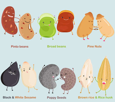 Vector of Bean, Nut, Seed - Pinto bean, Broad bean, Pine Nut, Black White Sesame, Poppy Seed, Brown rice & Rice husk. A set of cute colorful legume icon collection isolated on white backgroundのイラスト素材