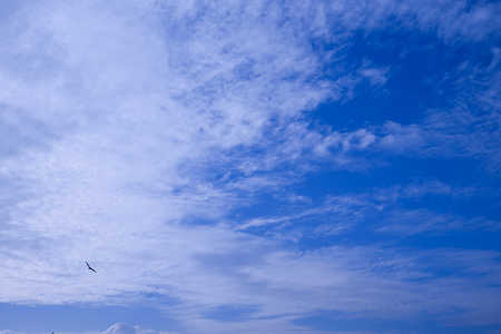 Sunlight under the cloudy morningの写真素材