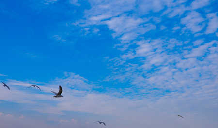 Sunlight under the cloudy morningの写真素材