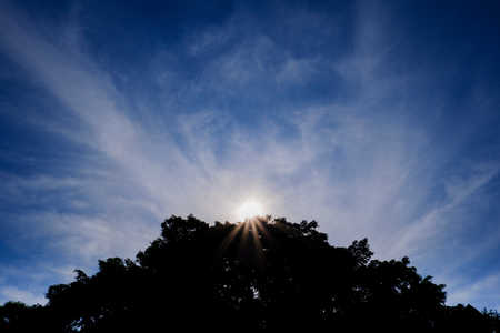 Sunlight under the cloudy morningの写真素材