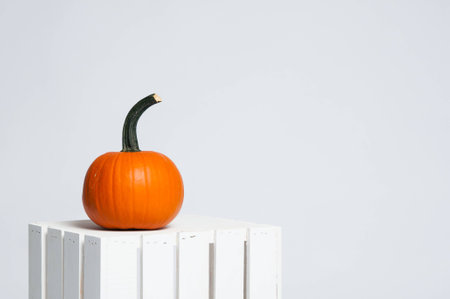 single bringht orange pumpkin on a white crateの写真素材