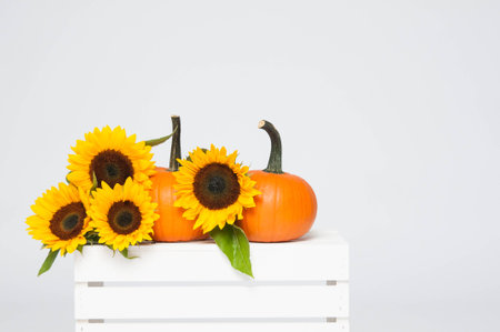 pumpkin and sunflower on a white crateの写真素材