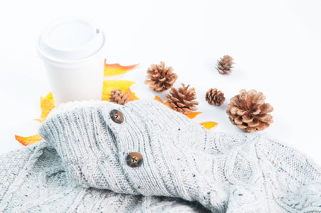 Items for fall on a white backgroundの写真素材