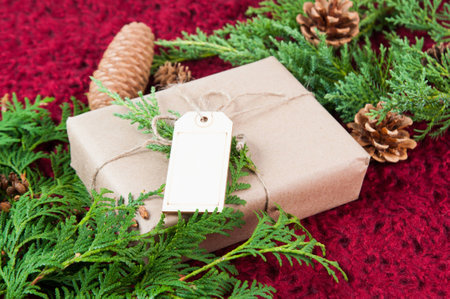 christmas package on a red background with greeneryの写真素材