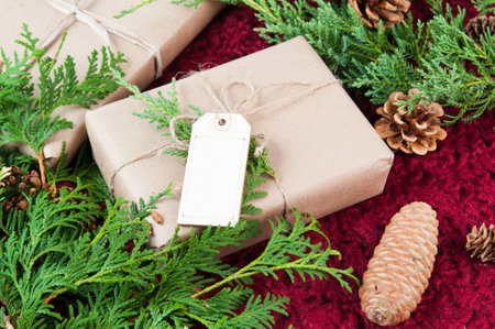 christmas package on a red background with greeneryの写真素材