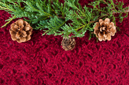 greenery and pinecones on a red knit background