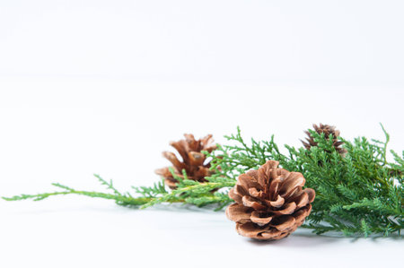 Christmas greenery with pine conesの写真素材