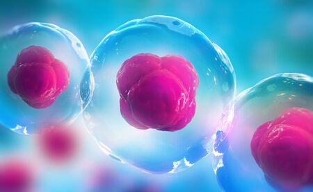 Human cells under a microscope. Research of stem cells. Cellular Therapy. 3d illustration on a light...