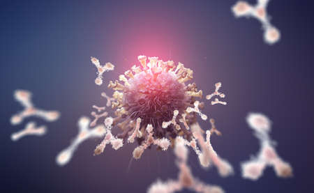 virus protection. Antibodies and viral infection. Immune defense of the body. Attack on antigens 3D illustrationの写真素材