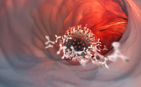 Microbe, virus, bacterium, infection 3D illustration. Antibodies in the blood. Immunity and health careの写真素材