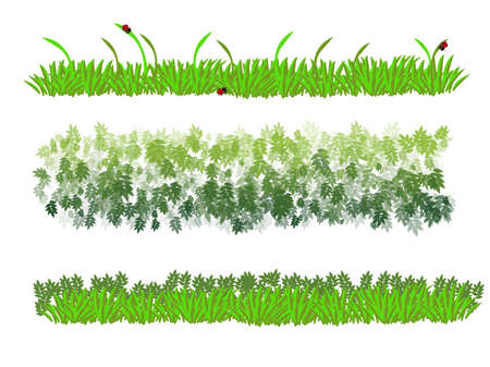 Green grass on a white background.のイラスト素材