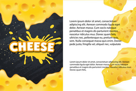 Cheese label eco food poster, banner menu product. vector illustrationのイラスト素材