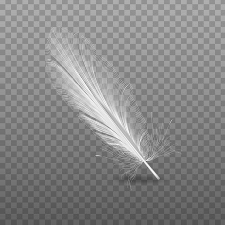 Vector 3d realistic falling feather closeup isolated on transparency mesh background. Design template, image of angel or bird feather.のイラスト素材
