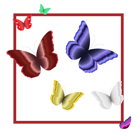 butterflies of different colors fluttering in a frame.のイラスト素材