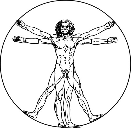 Leonardo da Vinci's vitruvian man in vectorのイラスト素材