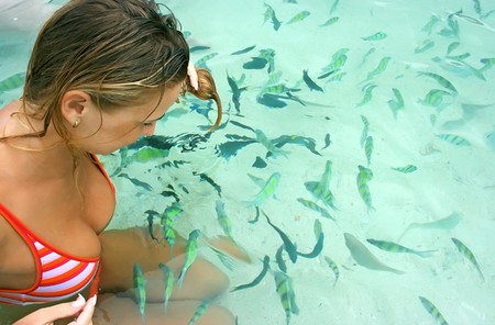 Blonde feeding fishes with her hair in the seaの写真素材