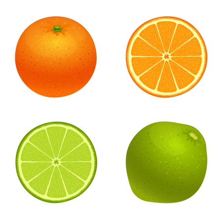 Vector illustration - lime and orangeのイラスト素材