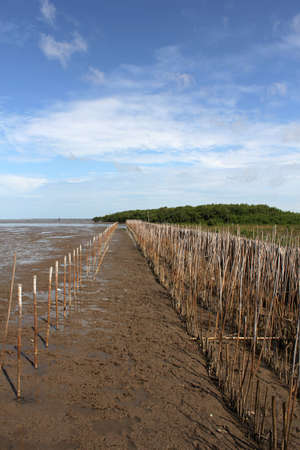 view.の写真素材