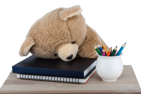 Teddy Bear is sleeping on the textbooks  isolated on white backgroundの写真素材