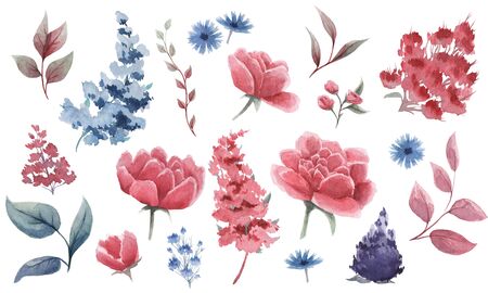 Set of floral elements. Flowers pink peonies, green, burgundy, blue leaves. Gentle concept with flowers. Watercolor arrangements for greeting card or invitation designの写真素材
