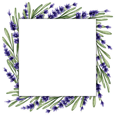 Square frame with purple flowers. Watercolor background with lavender for cards, invitations, banners, booklets, etcの写真素材