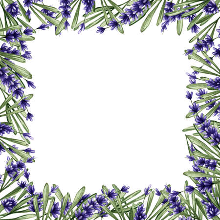 Watercolor frame with purple lavender and green leaves. Sprigs of summer flowers on a white background.の写真素材